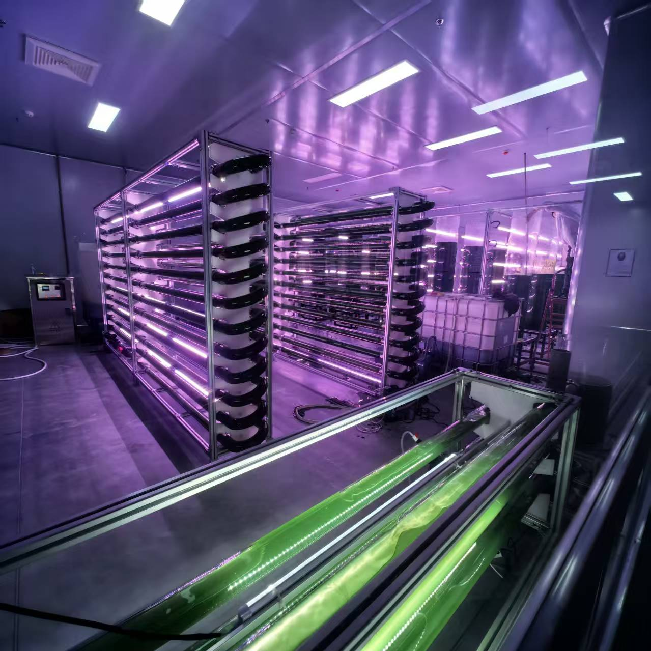 蛋白质标准品套装展示,多个小瓶整齐排列,白色背景,专业生物标准品包装